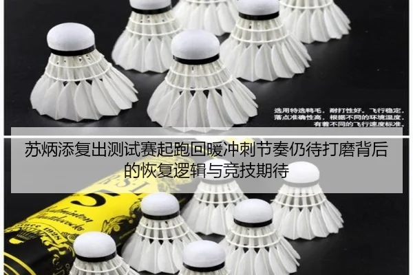 苏炳添复出测试赛起跑回暖冲刺节奏仍待打磨背后的恢复逻辑与竞技期待