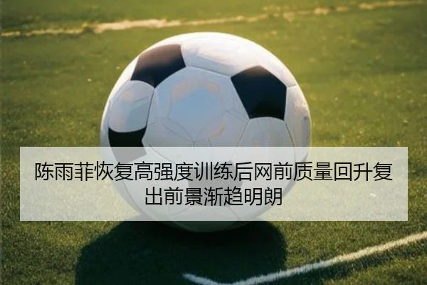 陈雨菲恢复高强度训练后网前质量回升复出前景渐趋明朗